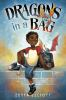 Book cover for "Dragons in a bag".